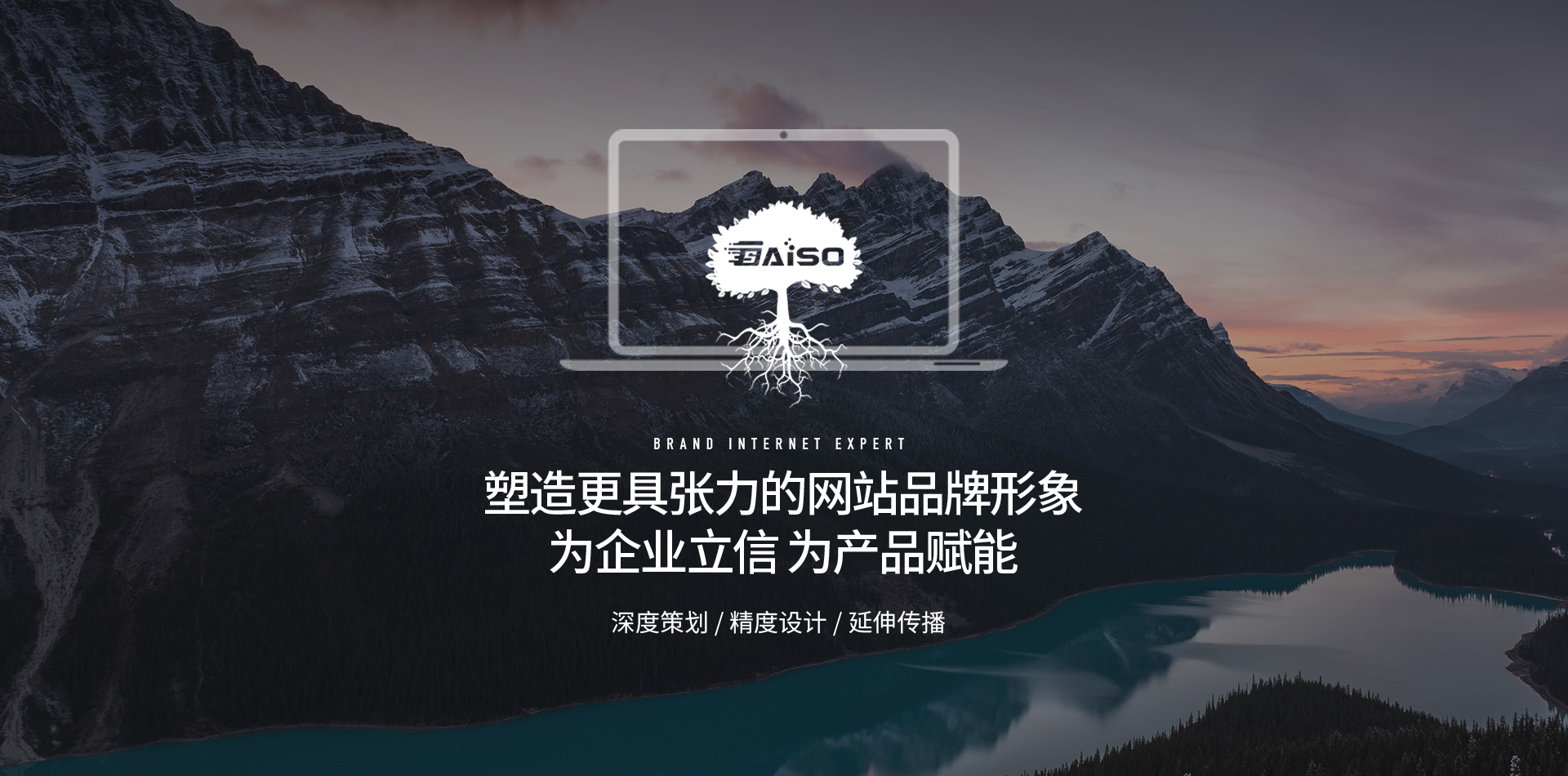 网站制作,网络推广,短视频运营,上海网站建设